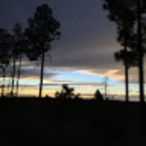 Meet your Posher, Eve